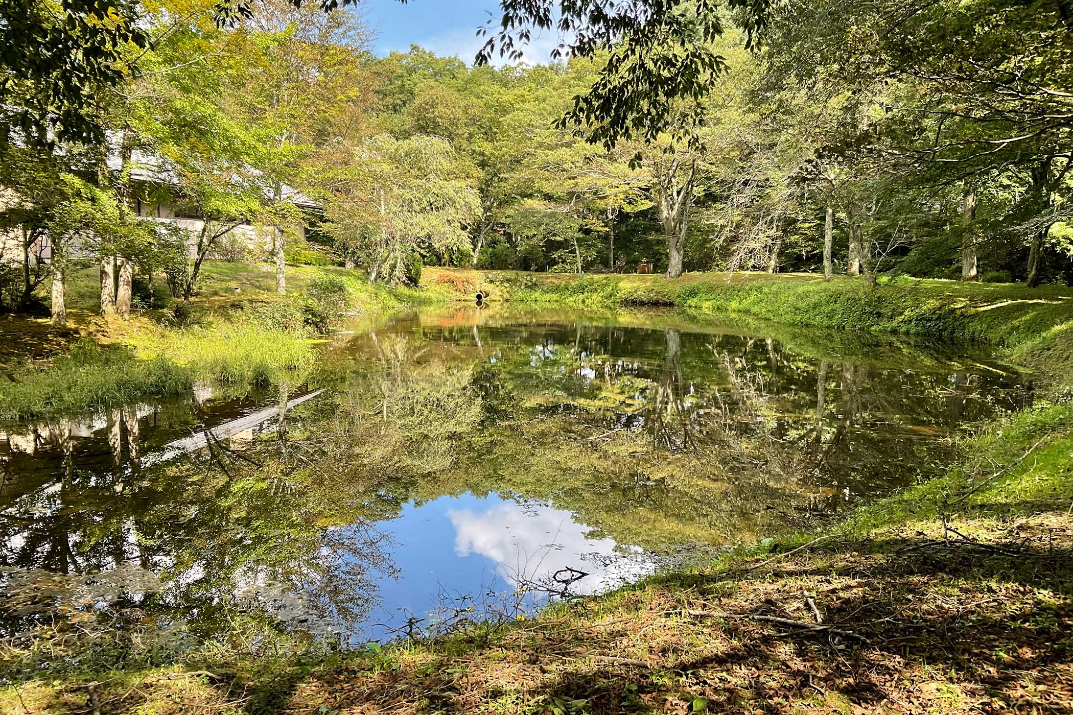 自然が創り出した景観を堪能
